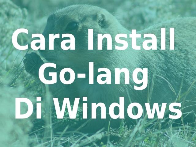 instal the new for windows GoLand