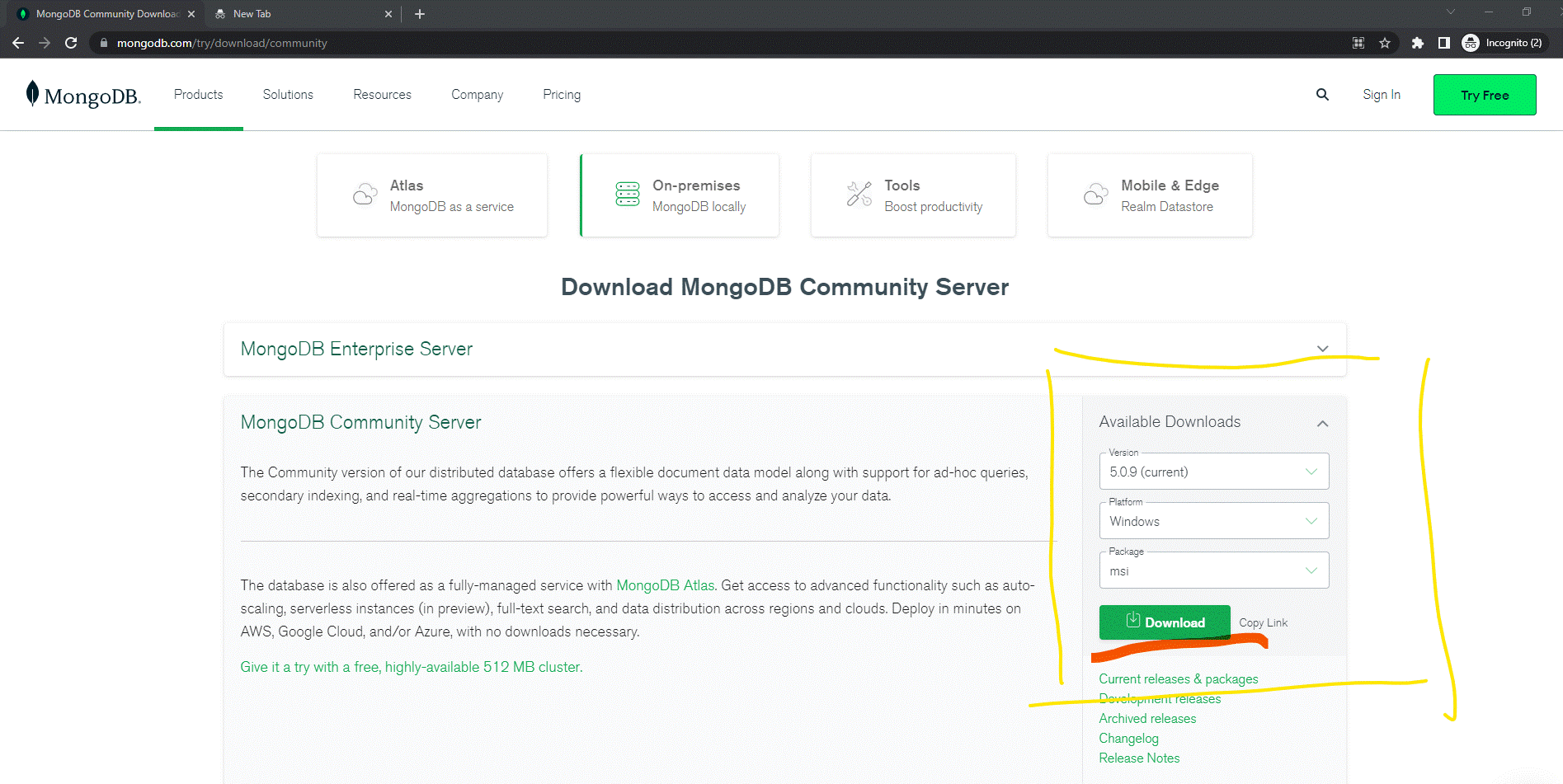 tempat download program MongoDB di mongodb.com