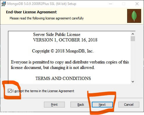 tahap install mongodb di windows I accept condition